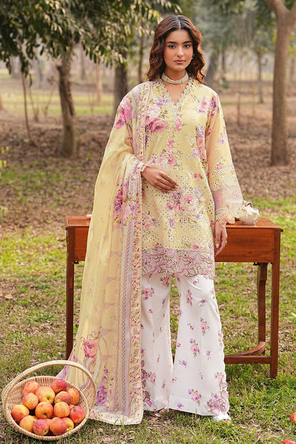 DHANAK BY RAMSHA VOL-1 UNSTITCHED'26| DH-105
