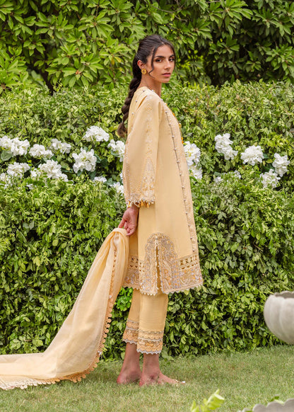 Sadaf Fawad Khan Lawn Vol 2 Collection 2024 – Zaphira (A)