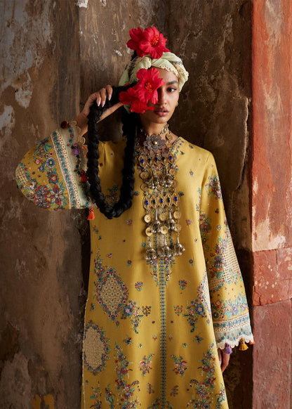 Close-up portrait highlighting the multicolored neckline embroidery, broad borders on sleeves, and traditional styling statement elements.